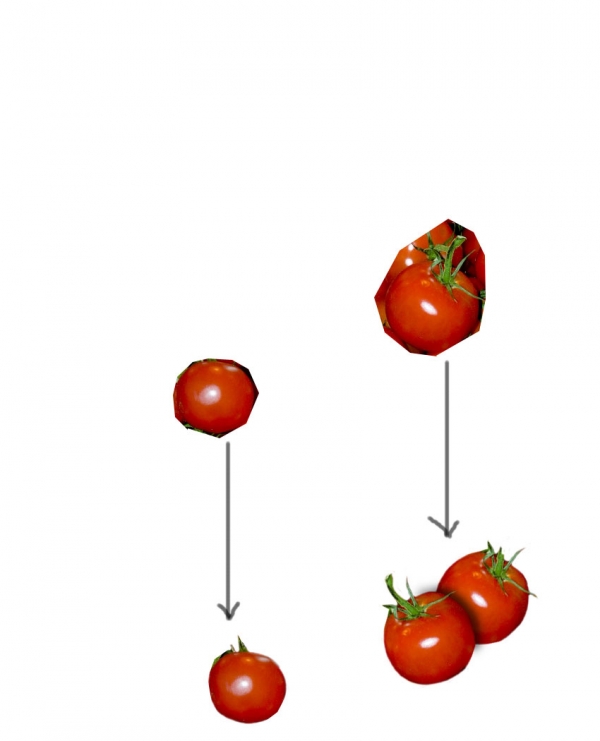 Creation of Organic Grown In The Garden: Step 10